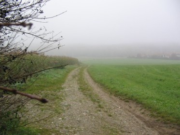 Nebel